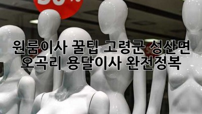 원룸이사 꿀팁🍯: 고령군 성산면 오곡리 용달이사 완전정복!