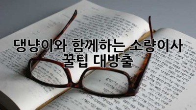 🐾 댕냥이와 함께하는 소량이사, 꿀팁 대방출! 🚚