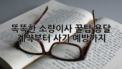 똑똑한 소량이사 꿀팁🍯 용달 계약부터 사기 예방까지!