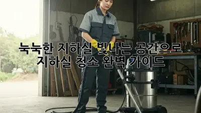 눅눅한 지하실? 빛나는 공간으로! 지하실 청소 완벽 가이드
